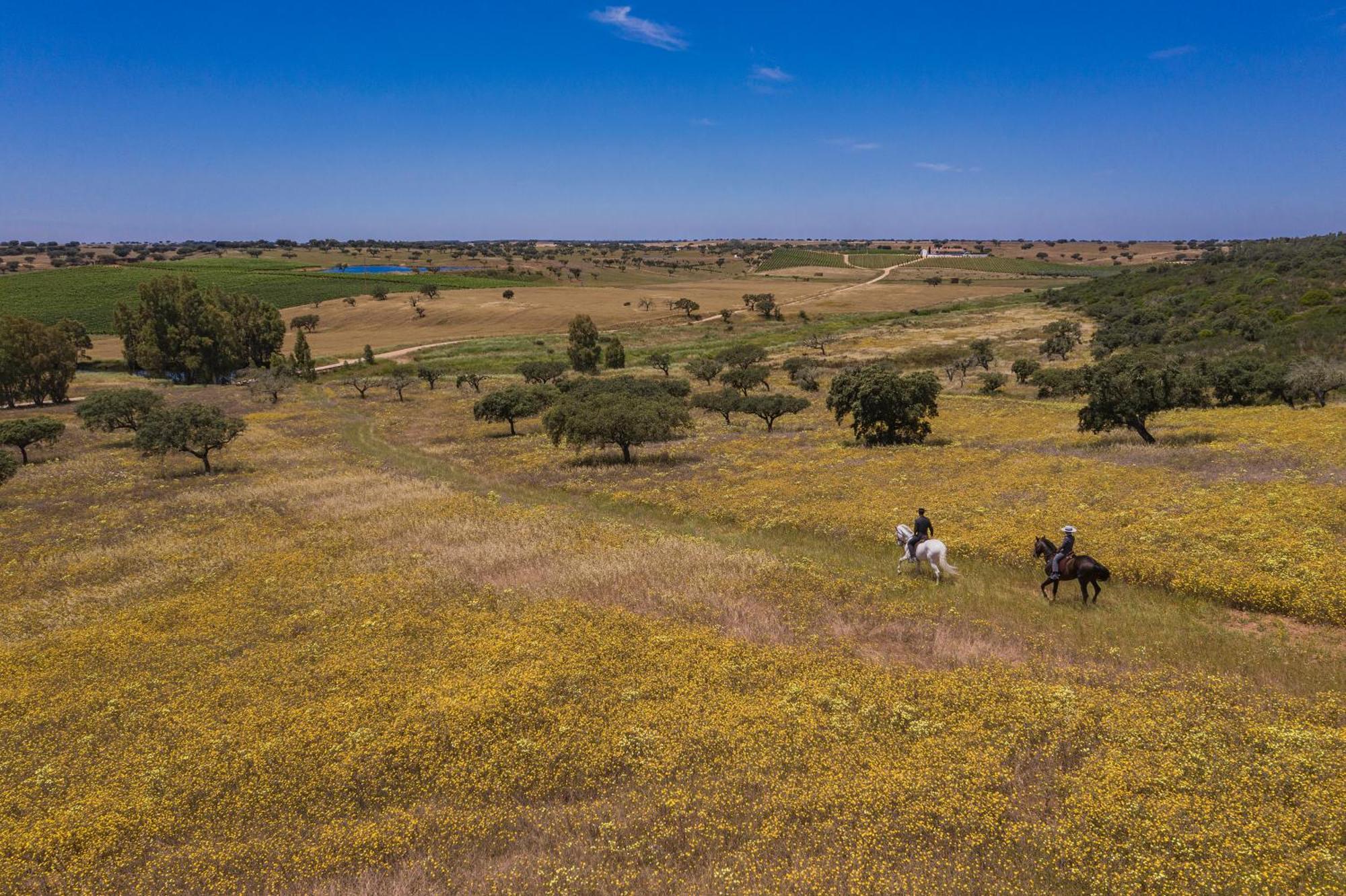 Herdade Da Malhadinha Nova - Relais & Chateaux Albernoa Eksteriør billede